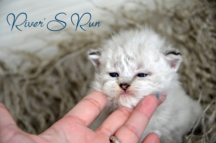 Victoria 27.janvier 2024 (3).jpg